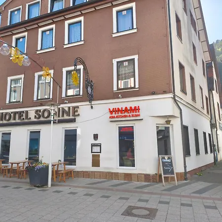 Vinami - *